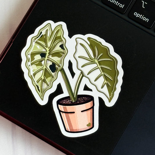 Alocasia Frydek Vinyl Sticker