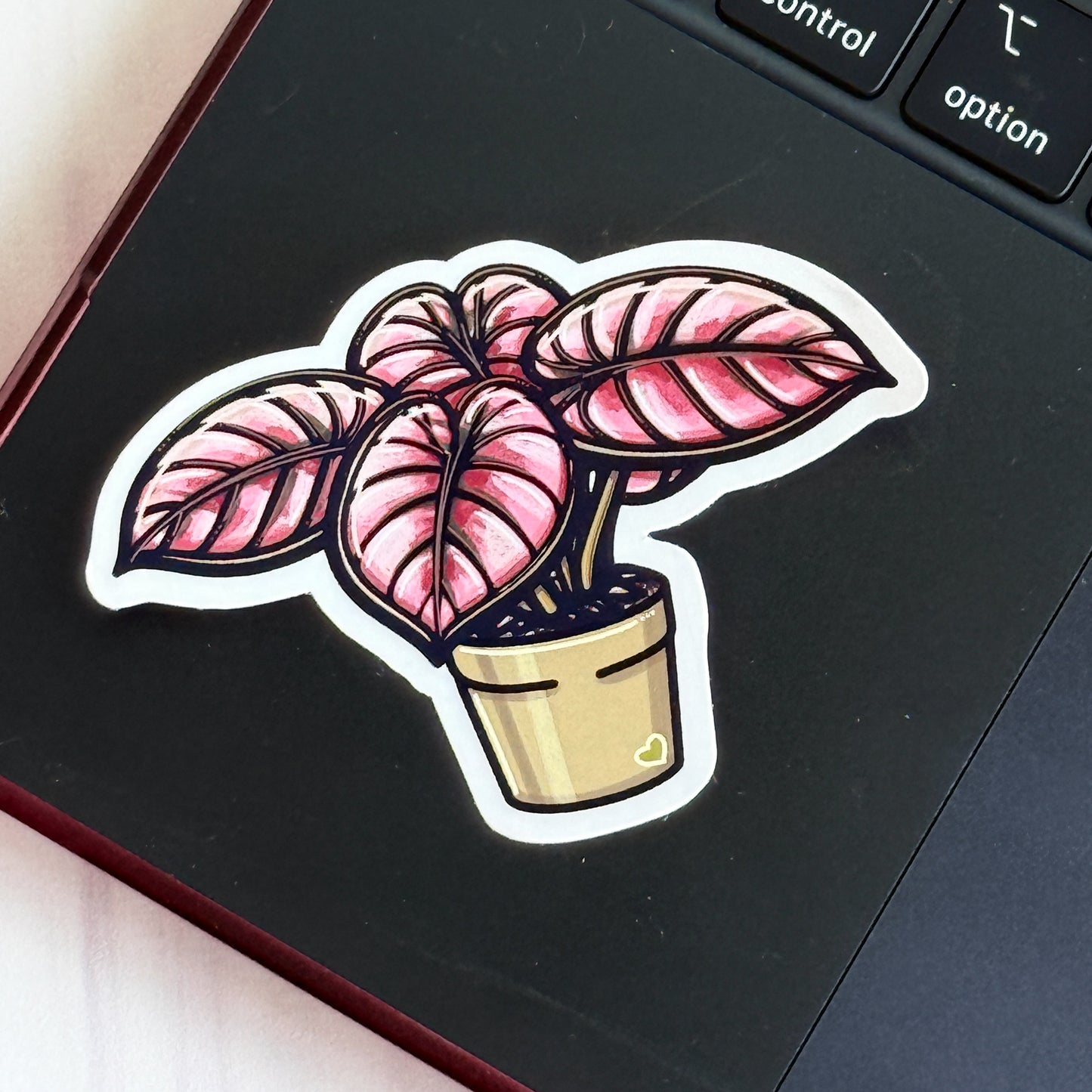 Alocasia Pink Cuprea Vinyl Sticker