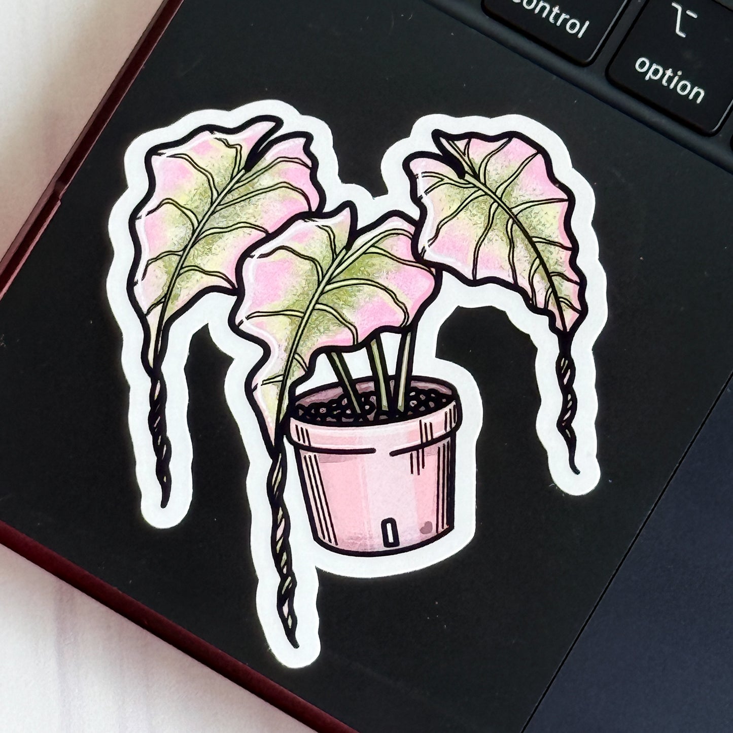 Alocasia Pink Venom Vinyl Sticker