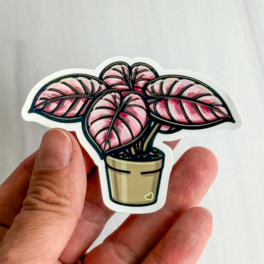 Alocasia Pink Cuprea Vinyl Sticker