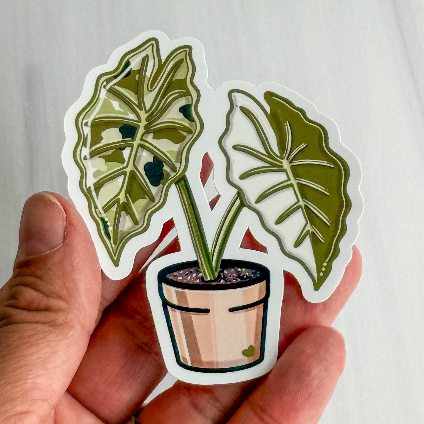Alocasia Frydek Vinyl Sticker