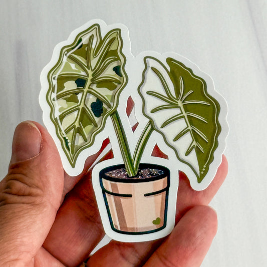 Alocasia Frydek Vinyl Sticker
