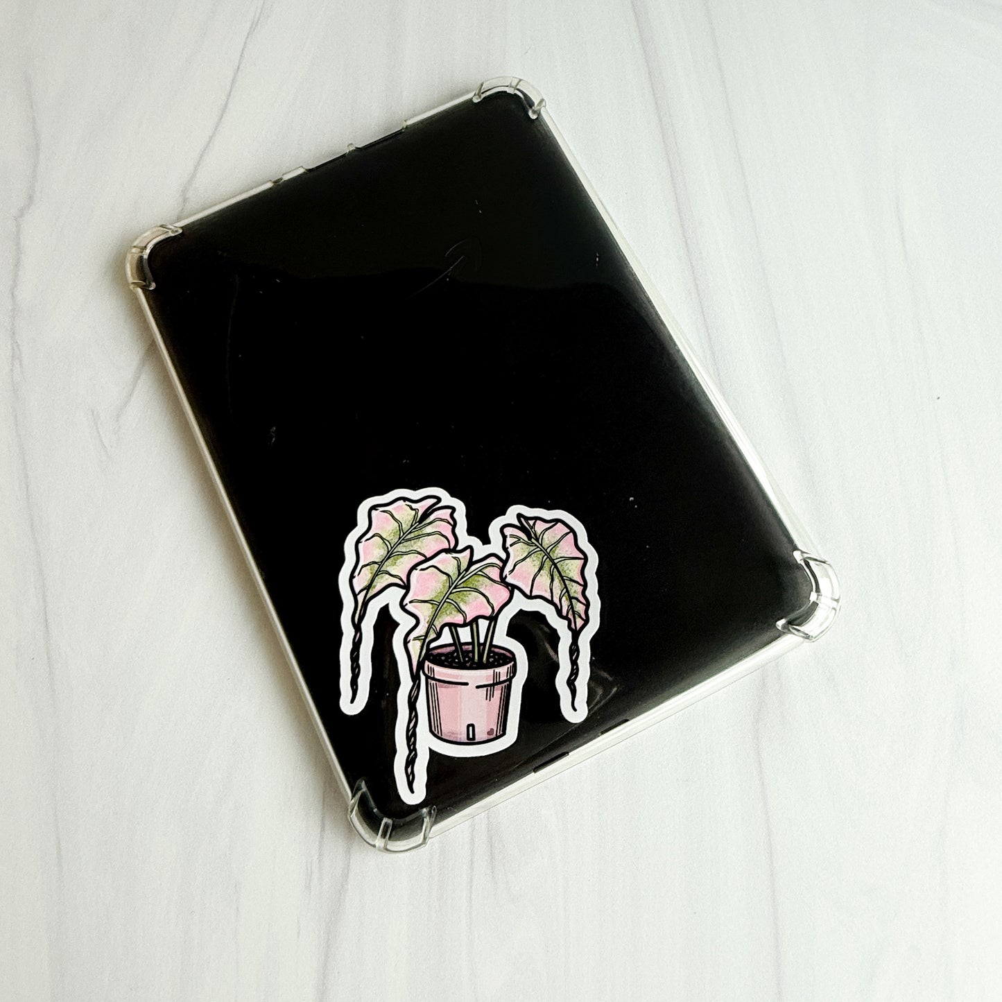 Alocasia Pink Venom Vinyl Sticker