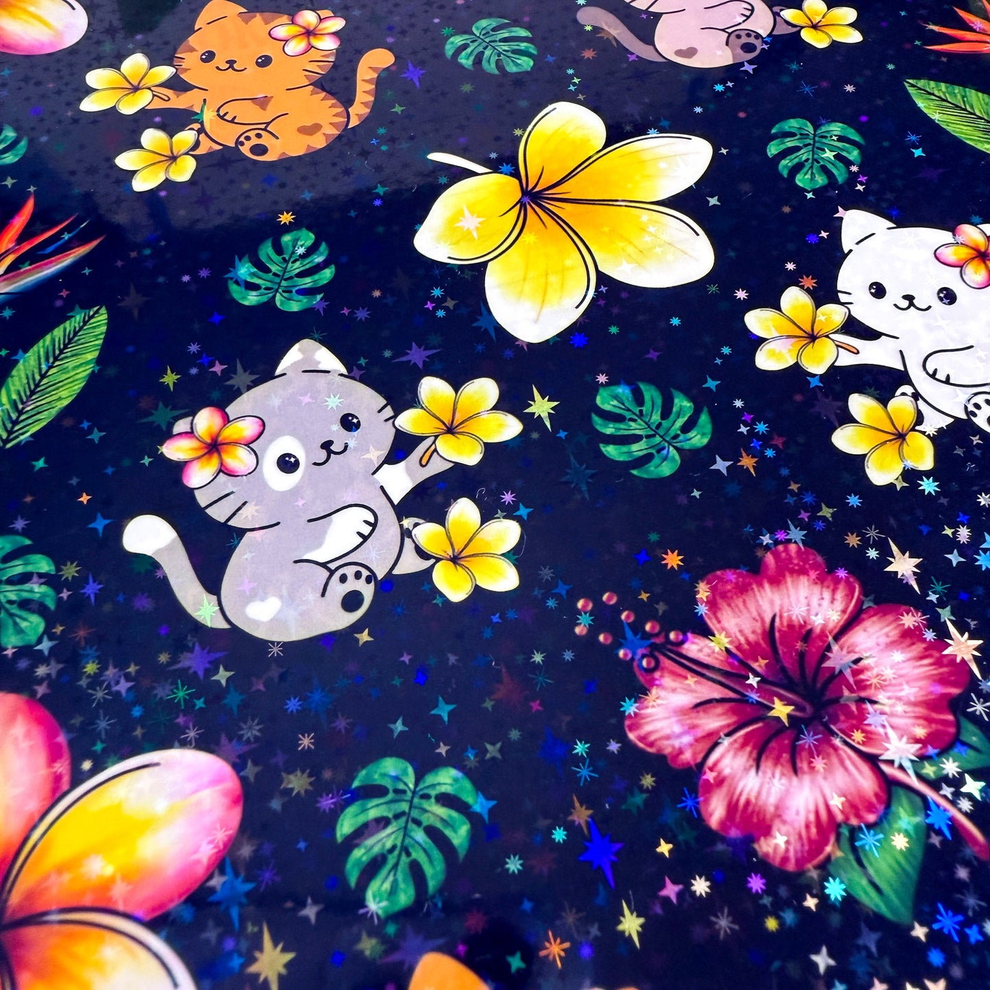 Mini Tropical Cats Night Sky Black Notebook