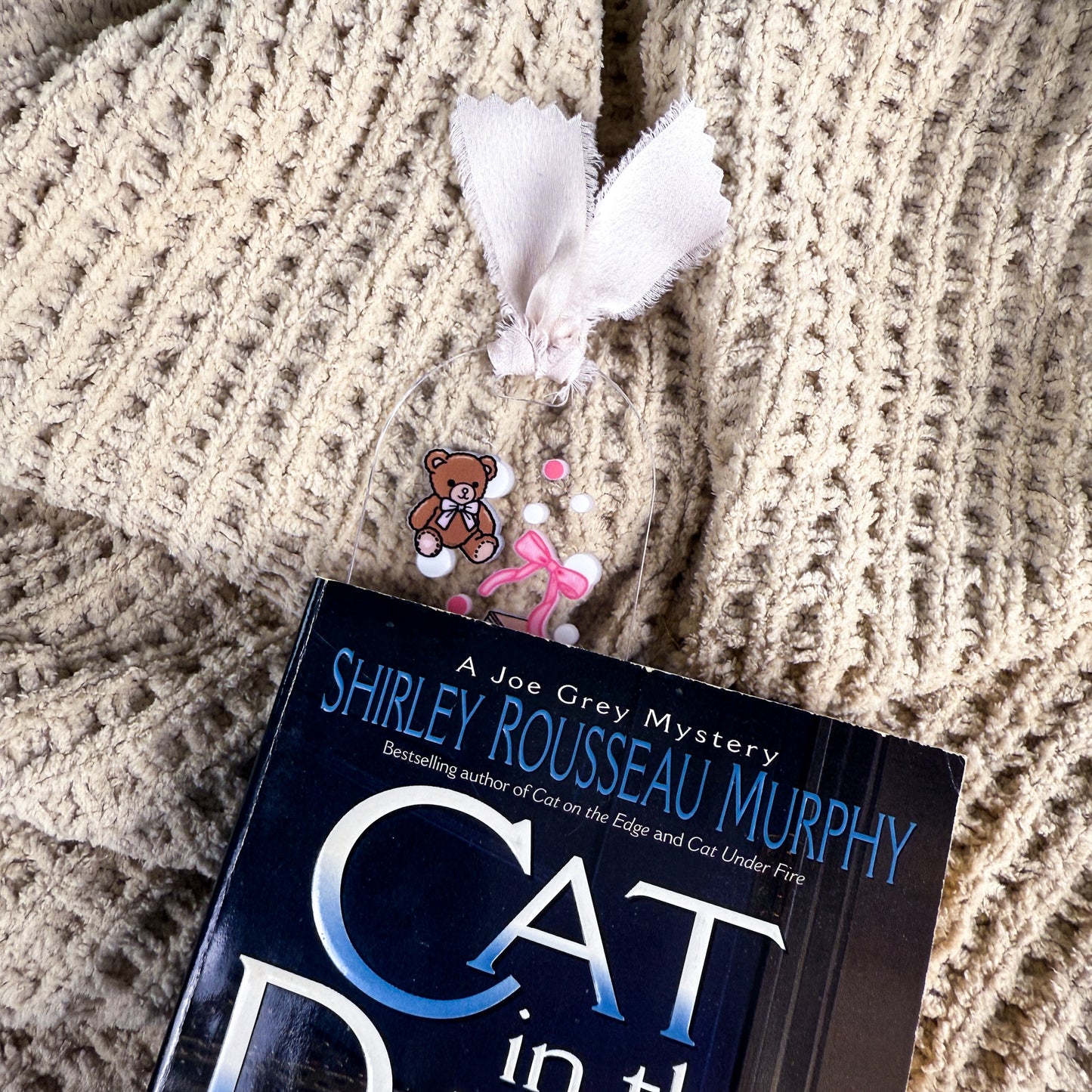 Bears & Books Clear Acrylic Bookmark